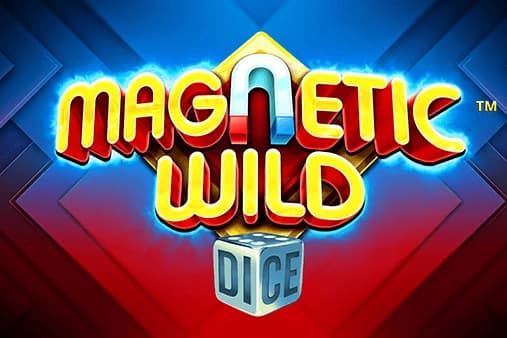 Magnetic Wild Dice